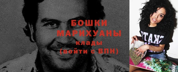 амф Осташков